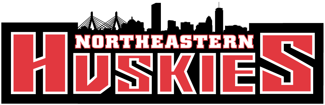Northeastern Huskies 2001-Pres Wordmark Logo v2 diy fabric transfer